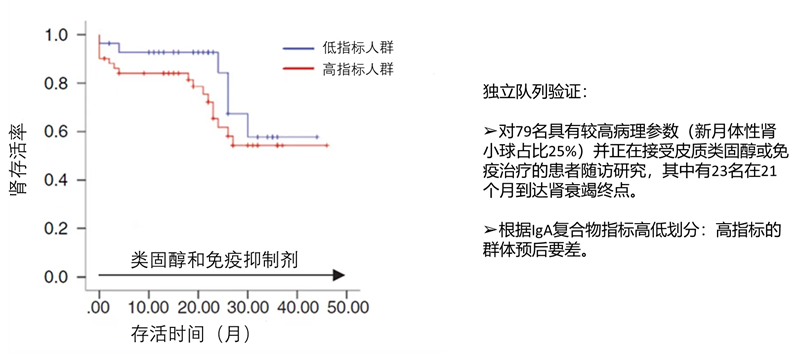 IgA免疫活动性指数高/低人群生存曲线对比（K-M曲线）